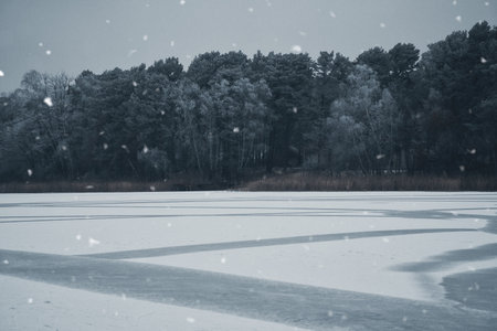 Snowy winter landscape with frozen reeds on the lake shore and a forest covered in front in the background, a calm, cold natural atmosphere in soft shades of gray.の写真素材