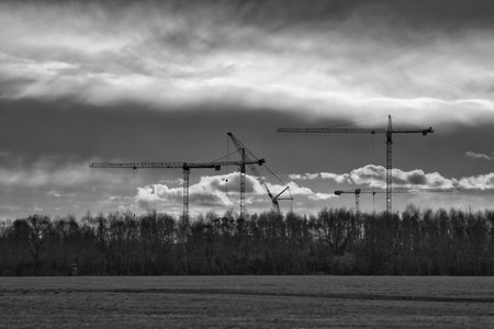 Black and white photograph showing several construction cranes above a row of trees under a dramatic cloud cover an impressive depiction of a modern construction site in a wide landscape.の写真素材