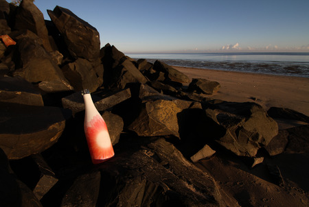 Early morning drinkの写真素材