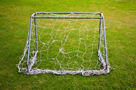 Small goal with damage net and green grass
