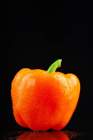 beautiful fresh yellow peppers in beautiful water droplets, on a black background. copyspace.の写真素材