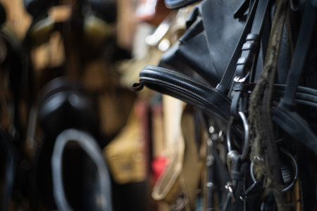 Horse bridles hang in the stable on a wooden wallの写真素材