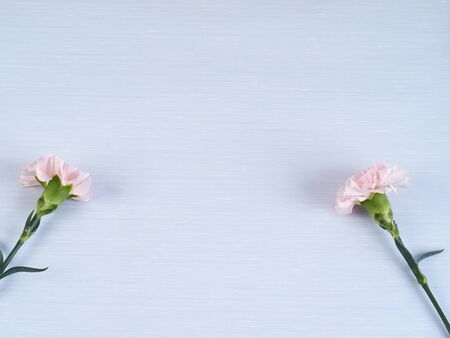 Pink carnation on pastel blue notebook on a white table for Mother's day. Top view, space for text