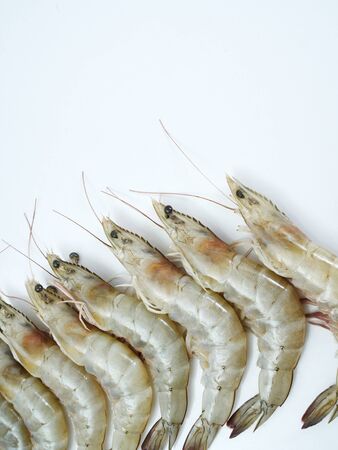 Fresh shrimps isolated on white background. Seafood menu design. space for text, top viewの写真素材