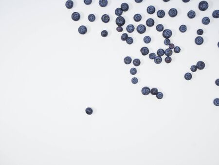 Freshly blueberry on white background. Berries watercolor image for healthy menu design. space for textの写真素材