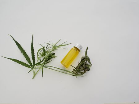 Medicinal cannabis with extract oil in a bottle on white background, Healthcare concept. CBD hemp oil. Top view, space for textの写真素材