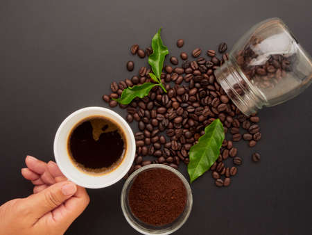 Holding a coffee cup, roasted coffee beans, ground coffee and coffee leaves against black background