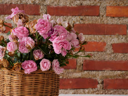 Roses in basket on wooden table against brick wall background. Space for textの写真素材