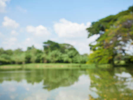 Blurred nature background. Pond in the park in autumnの写真素材