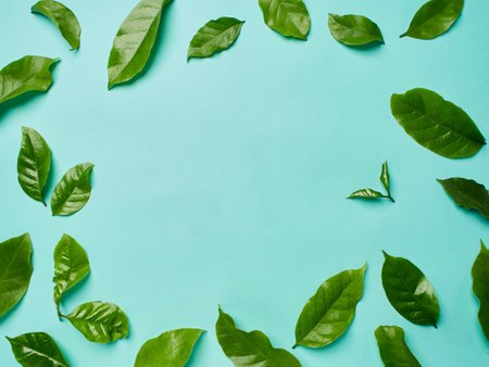 Green coffee leaves on blue background, top view. Space for text