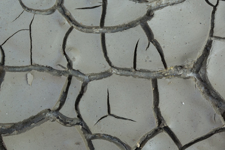 texture or background from dry soil with crackの写真素材