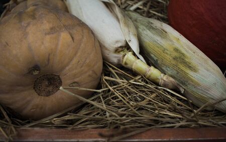 pumpkins of different shapes and colors along with corn are in a wooden box lined with hay ears of...