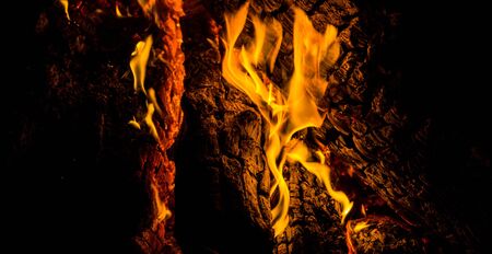 bright orange languages of a fire on wooden logs at night. wood on fire. bonfire at night. campfire. beautiful flame on black background. fire on black background. burning wood . beautiful fire texture. the texture of the campfireの写真素材