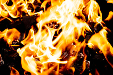 burning charcoal for shish kebabs wood coals ash burning coals in the grill shish kebabs recreation...
