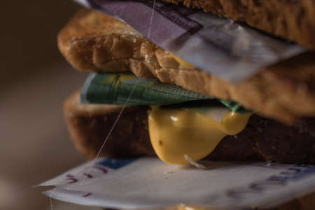 sandwich of bread and money Euro dollars bills with cheese sauce. money drenched in cheese sauce picture of food with money money and food. scattered moneyの写真素材