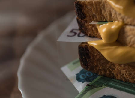 sandwich of bread and money Euro dollars bills with cheese sauce. money drenched in cheese sauce picture of food with money money and food. scattered moneyの写真素材