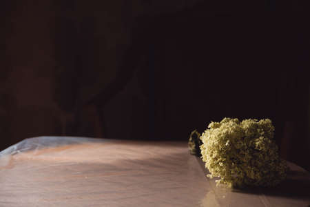 yellow bouquet of flowers lying on the table in the light of the evening sunの写真素材