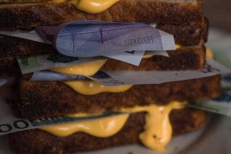 sandwich of bread and money Euro dollars bills with cheese sauce. money drenched in cheese sauce picture of food with money money and food. scattered moneyの写真素材
