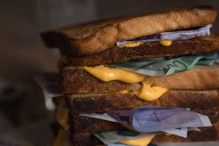 sandwich of bread and money Euro dollars bills with cheese sauce. money drenched in cheese sauce picture of food with money money and food. scattered moneyの写真素材