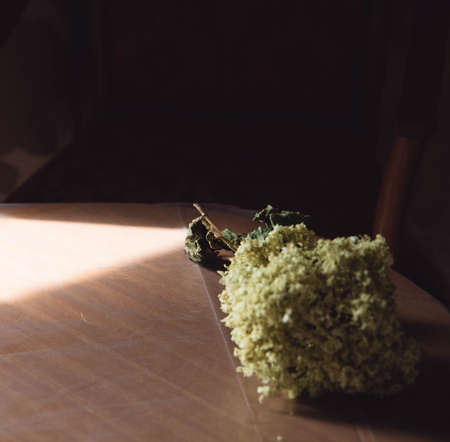 yellow bouquet of flowers lying on the table in the light of the evening sunの写真素材