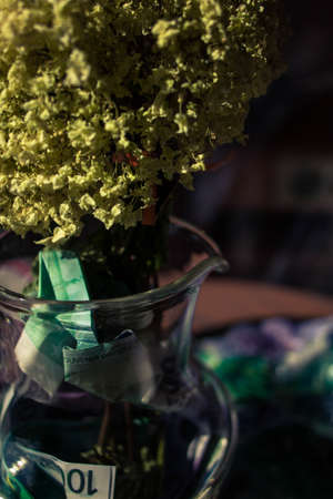 yellow dry flowers in a vase where instead of water of money. flowers grow out of money. vase floor money Euro dollarsの写真素材