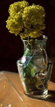 yellow dry flowers in a vase where instead of water of money. flowers grow out of money. vase floor money Euro dollarsの写真素材