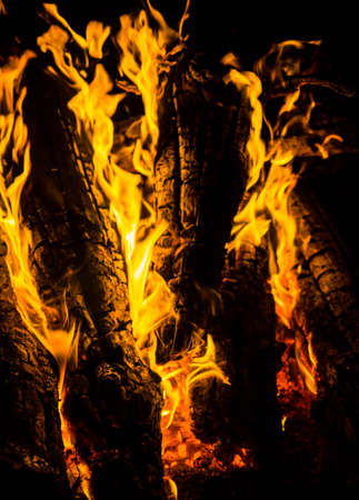 bright orange languages of a fire on wooden logs at night. wood on fire. bonfire at night. campfire. beautiful flame on black background. fire on black background. burning wood. beautiful fire texture. the texture of the campfireの写真素材