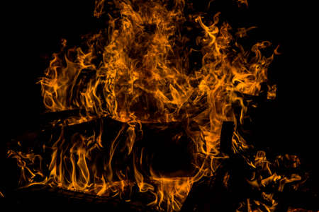 bright orange languages of a fire on wooden logs at night. wood on fire. bonfire at night. campfire. beautiful flame on black background. fire on black background. burning wood. beautiful fire texture. the texture of the campfireの写真素材
