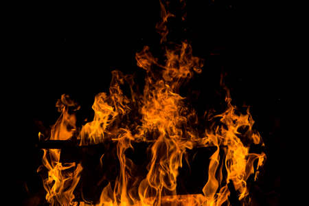 bright orange languages of a fire on wooden logs at night. wood on fire. bonfire at night. campfire. beautiful flame on black background. fire on black background. burning wood. beautiful fire texture. the texture of the campfireの写真素材