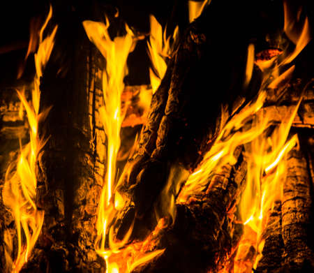 bright orange languages of a fire on wooden logs at night. wood on fire. bonfire at night. campfire. beautiful flame on black background. fire on black background. burning wood. beautiful fire texture. the texture of the campfireの写真素材