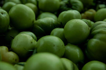 Green tomato (unripe) in wicker basket on wooden background. Unripe green tomato in bowl for fried dish or salted pickled vegetables. Raw green tomato on table for dinnerの写真素材