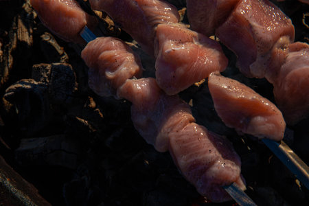 raw meat for barbecue put on skewers and put on coals for cooking barbecue barbecue. meatの写真素材