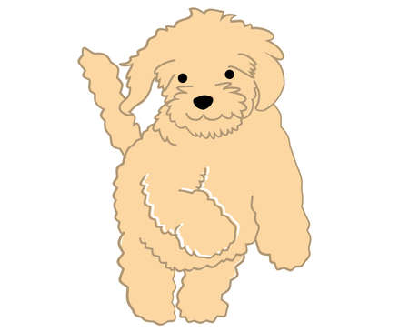 Beautiful and colorful dog vector illustration drawings malls pets wildlife doggy silhouette cartoon.のイラスト素材