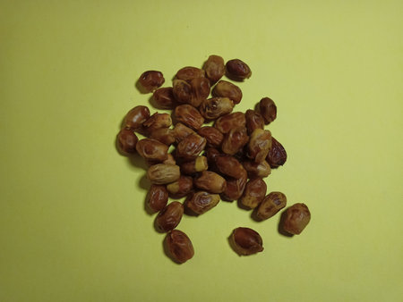 Tasty and delicious dates fresh and healthy food meal lunch dinner breakfast sweet dates fruitの写真素材