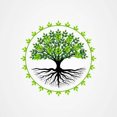 Abstract tree with roots and green leaves. tree with round shape vector illustration.のイラスト素材