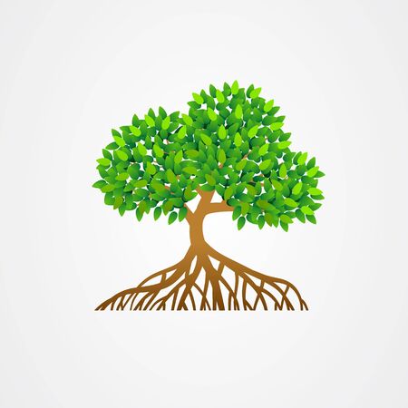 Mangrove tree with roots and green leaves vector illustration.のイラスト素材