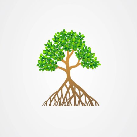 Mangrove tree with roots and green leaves vector illustration.のイラスト素材