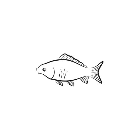 Carp fish icon vector illustrationのイラスト素材