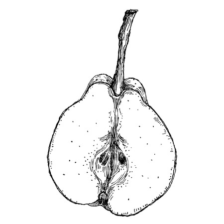 Arrayのイラスト素材