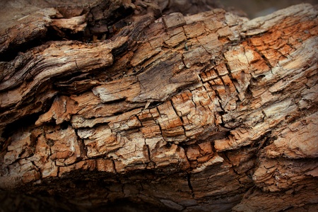 Background of a wooden surface    