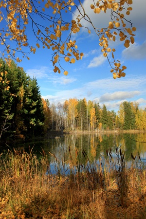 Autumn landscape of the coast of the lake. の写真素材
