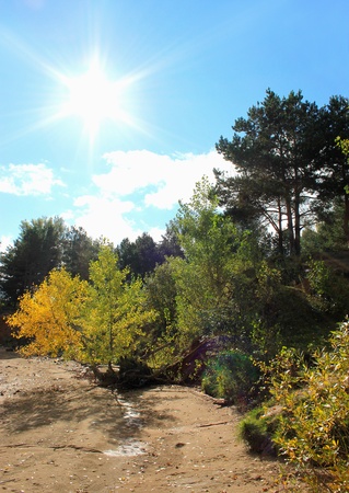 Autumn solar landscape  の写真素材