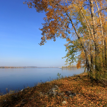 Autumn landscape of trees on the river bank Kama  の写真素材