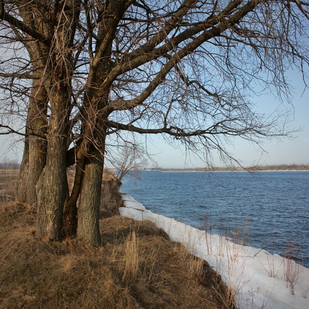 Spring landscape river   の写真素材