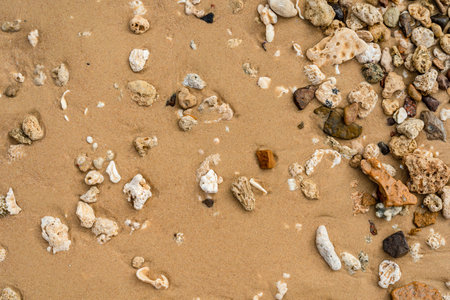 Pebbles on the sandy beachの写真素材