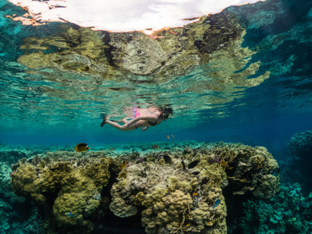 Young woman snorkeling at coral reef in tropical seaの写真素材