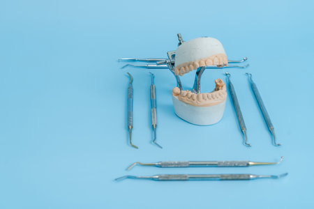 The Tooth model with dental tools on blue background for dental content. Dental conceptの写真素材