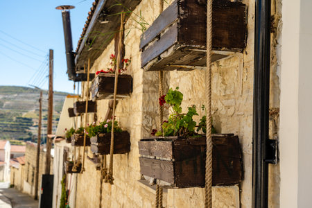 Flower pots in facade of old houseの写真素材