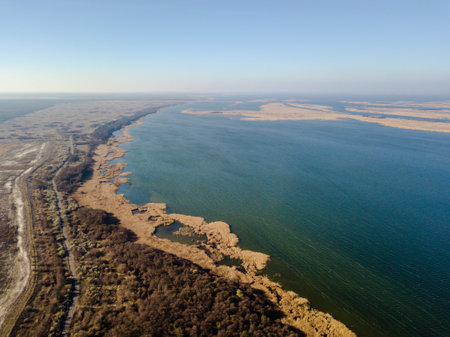 Aerial view from drone of lakes and swamp at sunny dayの写真素材
