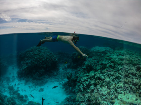 Half underwater shot of man snorkeling at coral reefの写真素材